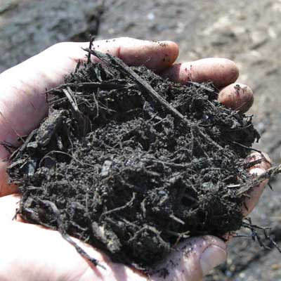 Soil Dressing 25mm Soil Conditioner – Bulk or Bag (1m3 or 25 litre)